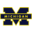 University of Michigan at Ann Arbor